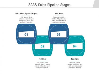 Saas sales pipeline stages ppt powerpoint presentation professional pictures cpb