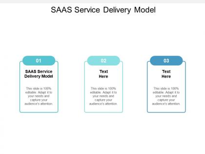 Saas service delivery model ppt powerpoint presentation summary graphics download cpb
