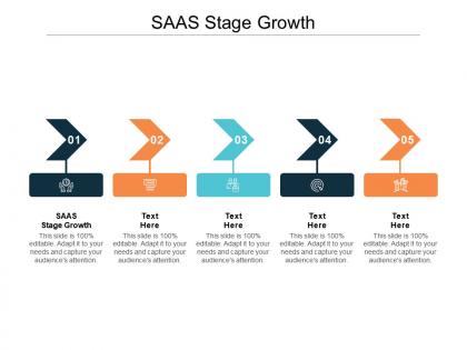 Saas stage growth ppt powerpoint presentation outline ideas cpb