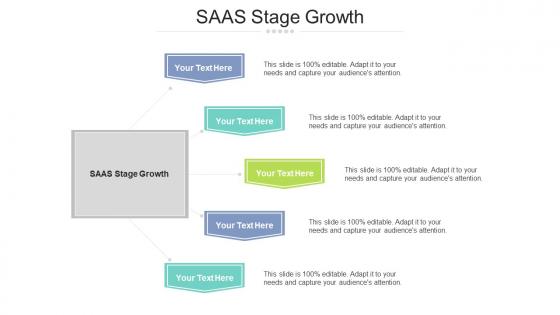 Saas stage growth ppt powerpoint presentation portfolio diagrams cpb