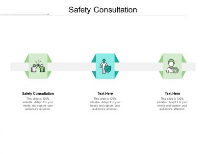 Safety consultation ppt powerpoint presentation summary background cpb