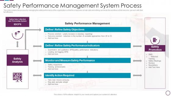 Safety Performance Management System Process