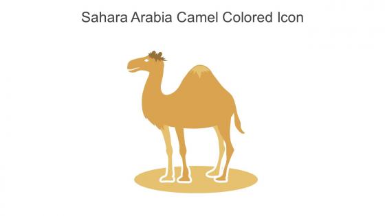 Sahara Arabia Camel Colored Icon In Powerpoint Pptx Png And Editable Eps Format