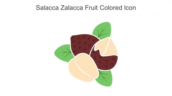 Salacca Zalacca Fruit Colored Icon In Powerpoint Pptx Png And Editable Eps Format