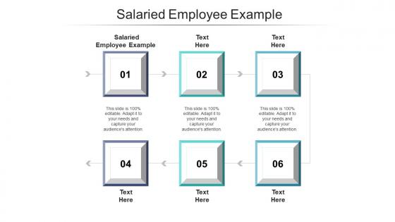 Salaried employee example ppt powerpoint presentation layouts infographic template cpb