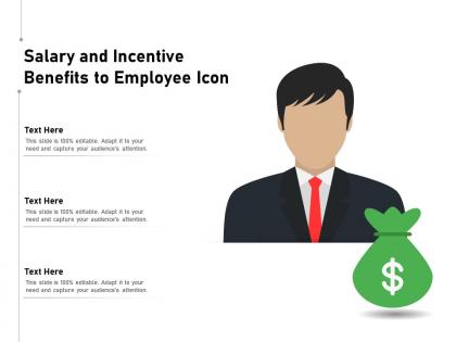Salary and incentive benefits to employee icon