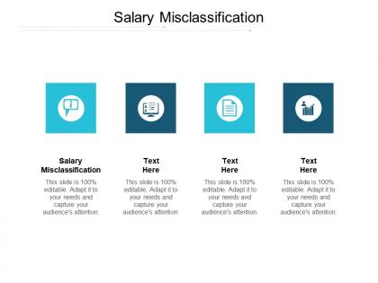 Salary misclassification ppt powerpoint presentation professional example topics cpb