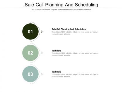 Sale call planning and scheduling ppt powerpoint presentation portfolio infographics cpb