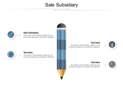 Sale subsidiary ppt powerpoint presentation file ideas cpb