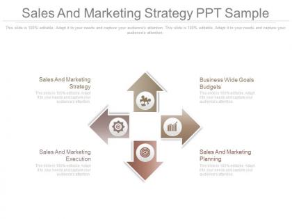 Sales and marketing strategy ppt sample