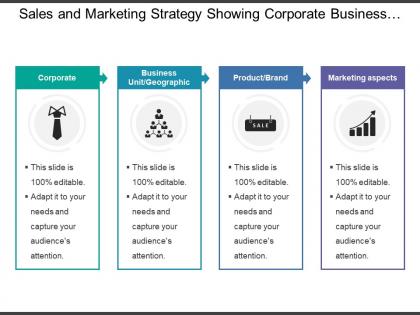 Sales and marketing strategy showing corporate business unit product marketing aspects