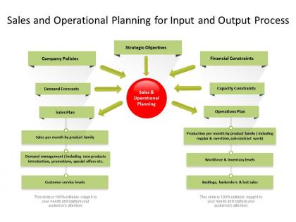 Sales and operational planning for input and output process
