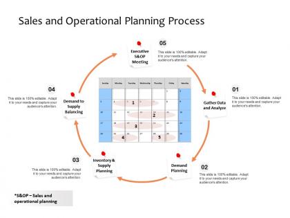 Sales and operational planning process