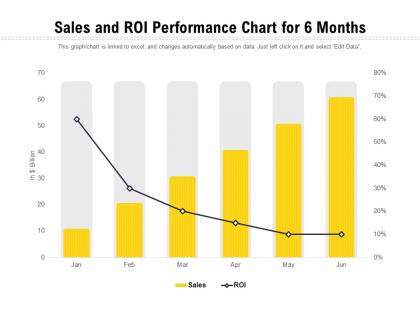Sales and roi performance chart for 6 months