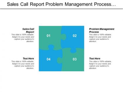 Sales call report problem management process business requirements analysis cpb