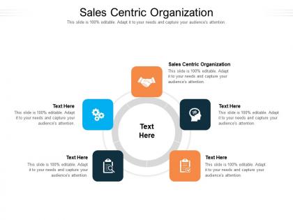 Sales centric organization ppt powerpoint presentation gallery rules cpb
