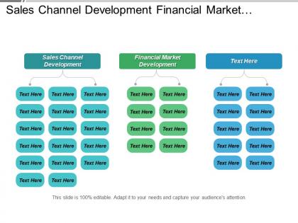 Sales channel development financial market development portfolio investment management cpb