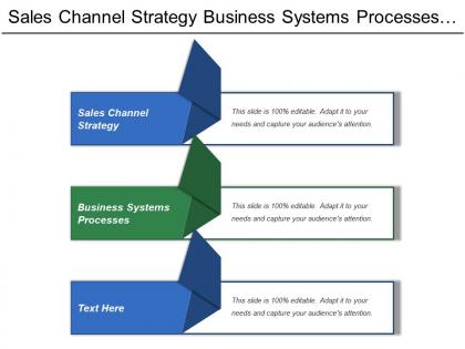 Sales channel strategy business systems processes financial strategies