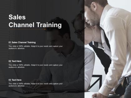 Sales channel training ppt powerpoint presentation model elements cpb