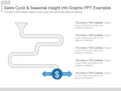 Sales cycle and seasonal insight info graphic ppt examples