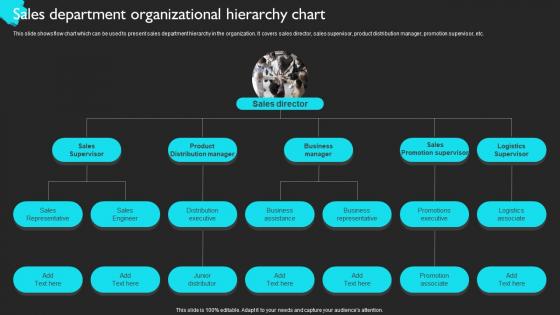 Sales Department Organizational Hierarchy Product Sales Strategy For Business Strategy SS V