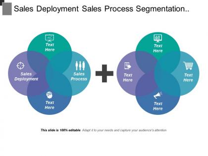 Sales deployment sales process segmentation targeting competitor performance