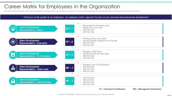 Sales Development Representative Playbook Career Matrix For Employees In The Organization