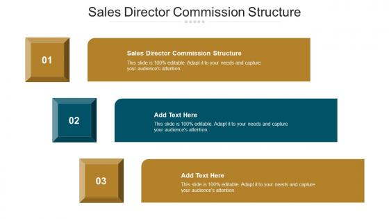Sales Director Commission Structure Ppt Powerpoint Presentation Model Cpb