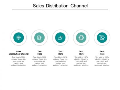 Sales distribution channel ppt powerpoint presentation layouts examples cpb