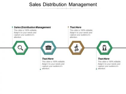 Sales distribution management ppt powerpoint presentation file example topics cpb