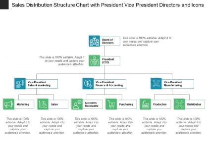 Sales distribution structure chart with president vice president directors and icons