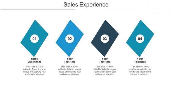 Sales experience ppt powerpoint presentation model example introduction cpb