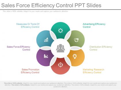 Sales force efficiency control ppt slide