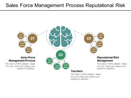 Sales force management process reputational risk management turnover retention cpb