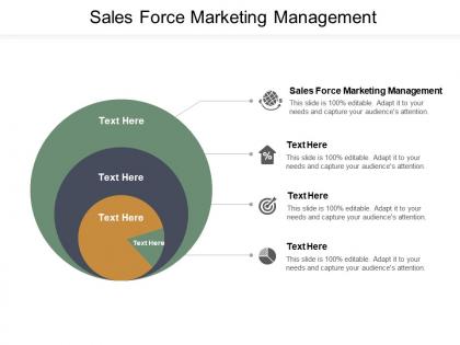 Sales force marketing management ppt powerpoint presentation summary show cpb