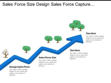 Sales force size design sales force capture manager