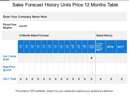 Sales forecast history units price 12 months table
