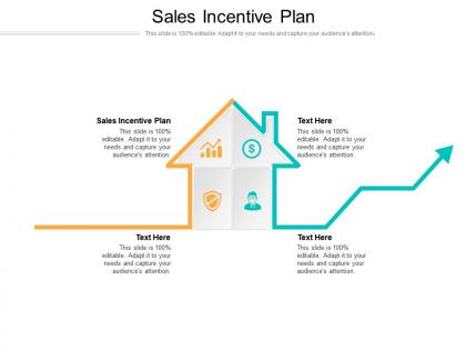 Sales incentive plan ppt powerpoint presentation icon diagrams cpb