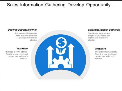 Sales information gathering develop opportunity plan installation training