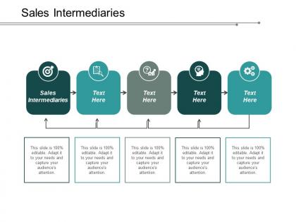 Sales intermediaries ppt slides show cpb