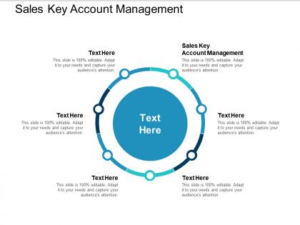 Sales key account management ppt powerpoint presentation ideas guide cpb