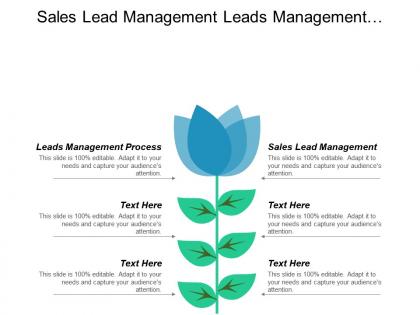 Sales lead management leads management process marketing management process cpb