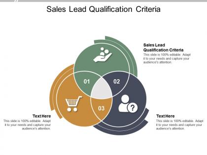 Sales lead qualification criteria ppt powerpoint presentation infographic styles cpb