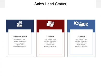 Sales lead status ppt powerpoint presentation gallery show cpb