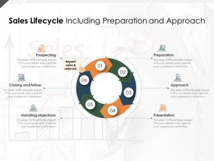 Sales lifecycle including preparation and approach