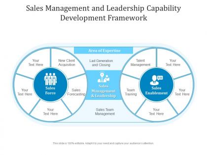 Sales management and leadership capability development framework