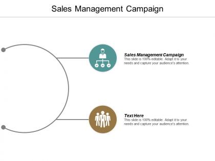 Sales management campaign ppt powerpoint presentation file vector cpb