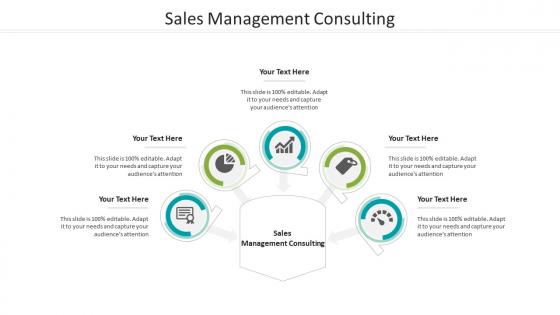 Sales management consulting ppt powerpoint presentation infographic template graphic images cpb
