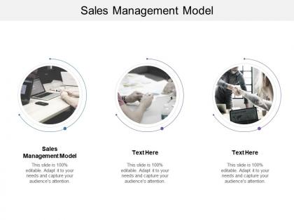 Sales management model ppt powerpoint presentation infographics templates cpb