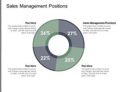Sales management positions ppt powerpoint presentation model graphics example cpb